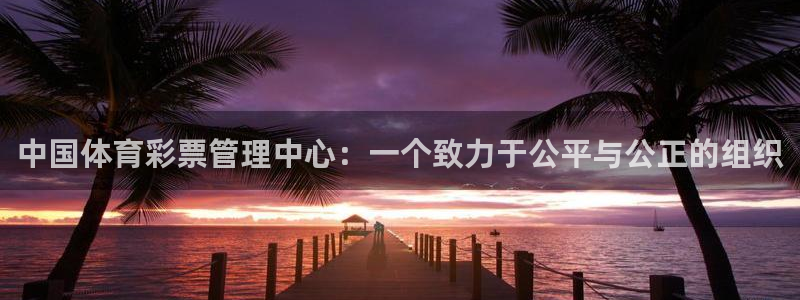 必一体育app官方正
