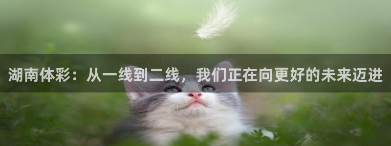 必一体育app下载：