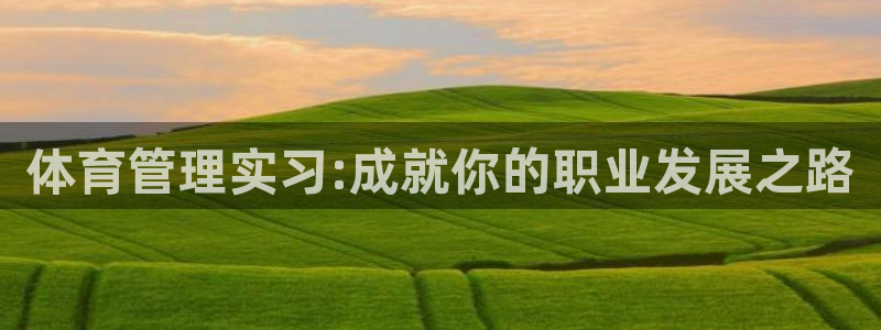 必一运动 b 体育素