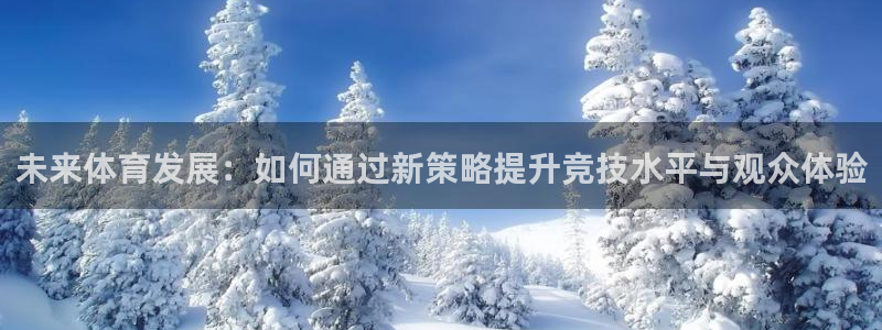 必一体育下载移动版：