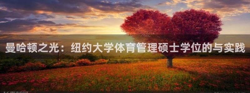 必一体育在线登录：曼