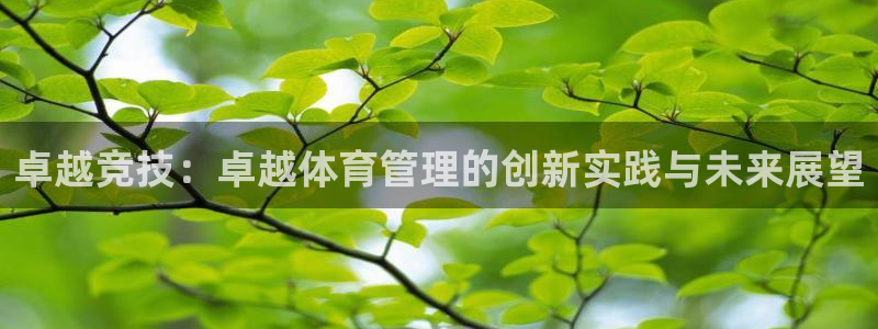 必一体育sport下