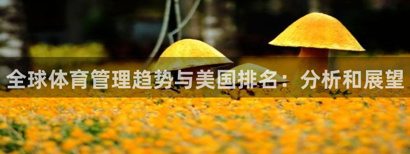 必一运动·(B-Sp