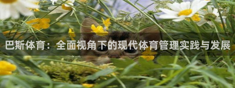 必一体育下载义：巴斯