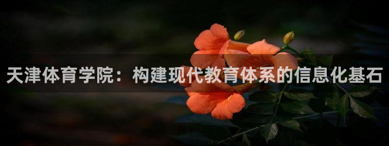 必一体育下载义：天津体育学院：构建现代教育体系的信息化基石