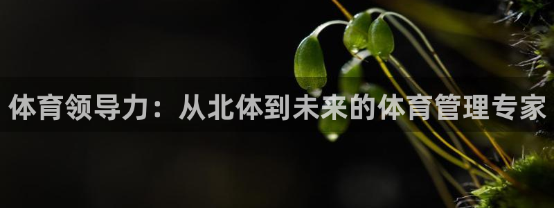 必一运动听的歌：体育领导力：从北体到未来的体育管理专家