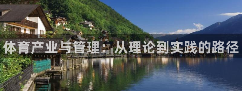 必一运动体育官网下载：体育产业与管理：从理论到实践的路径