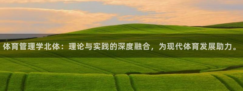 必一体育网页登录版官