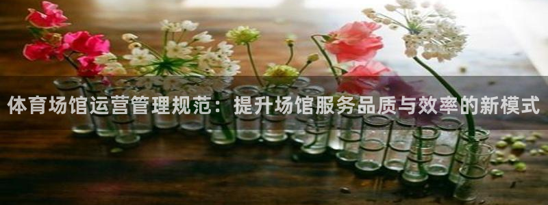 必一体育全站在线登录