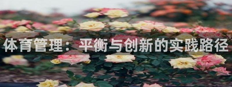 b体育必一运动网页版