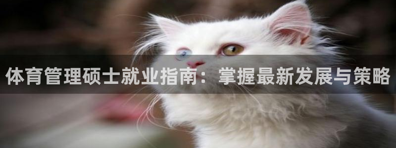 必一体育下载秀给网：