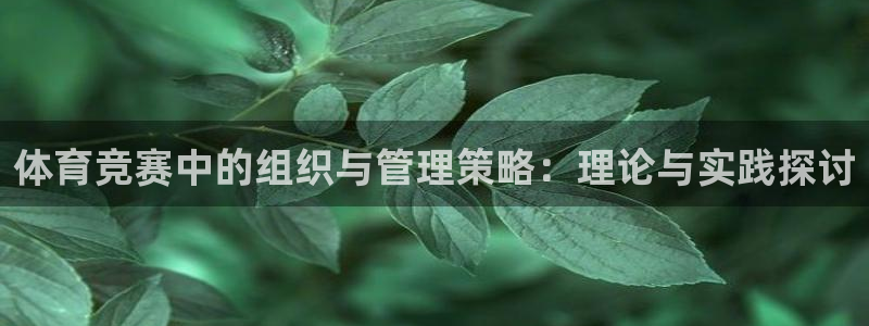 必一体育官网app：