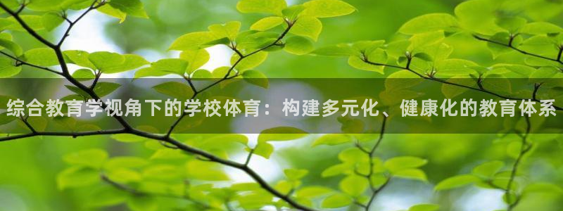必一体育运动平台官网