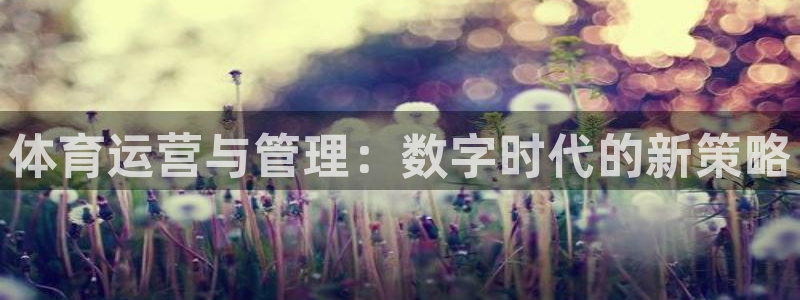 必一体育在线入口：体