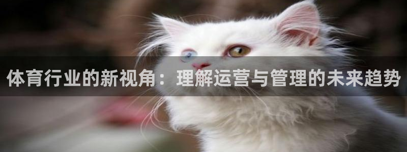 必一体育sport装