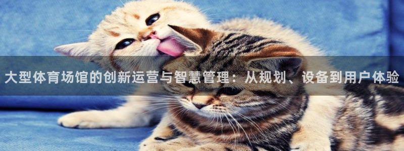 必一运动·(b-sp
