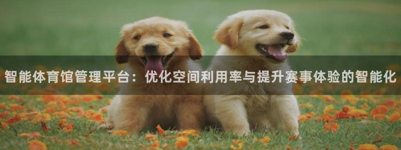 必一体育app官方下