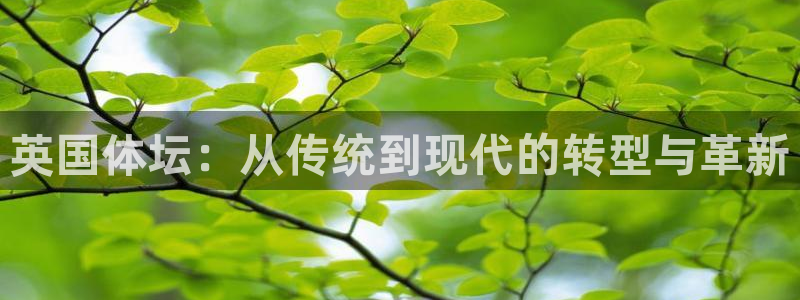 必一运动sport爱