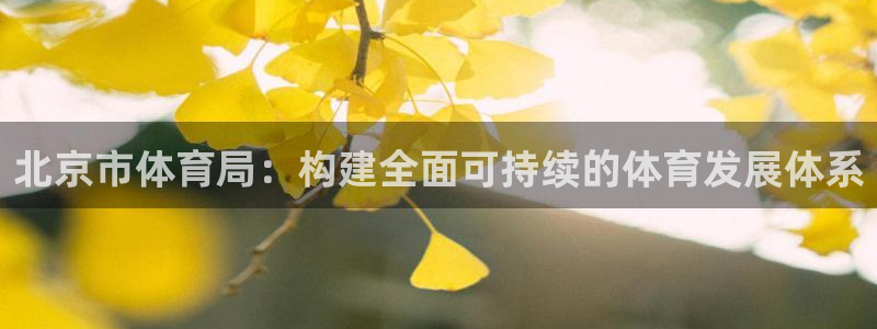 必一体育官方入口：北