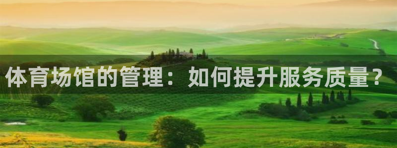 必一体育合法吗：体育