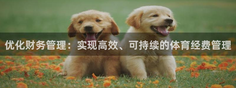 必一体育合法吗：优化