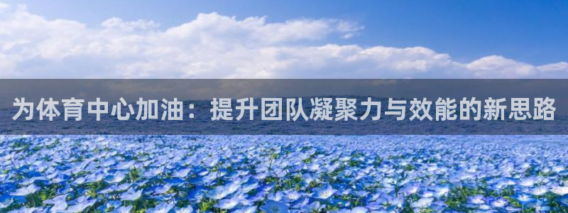 必一体育app下载装