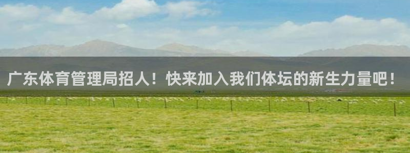 必一体育游戏玩法：广