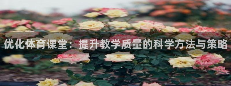 必一体育官网网址：优