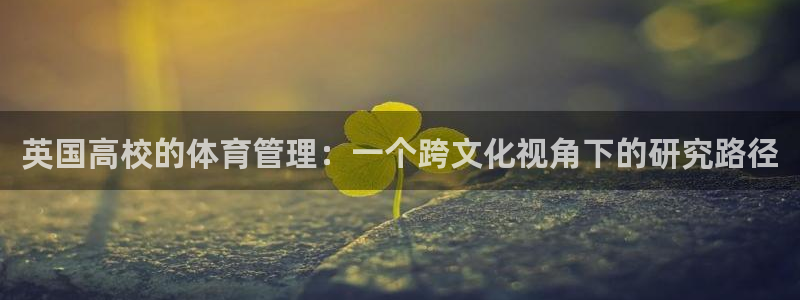 必一体育app平台下