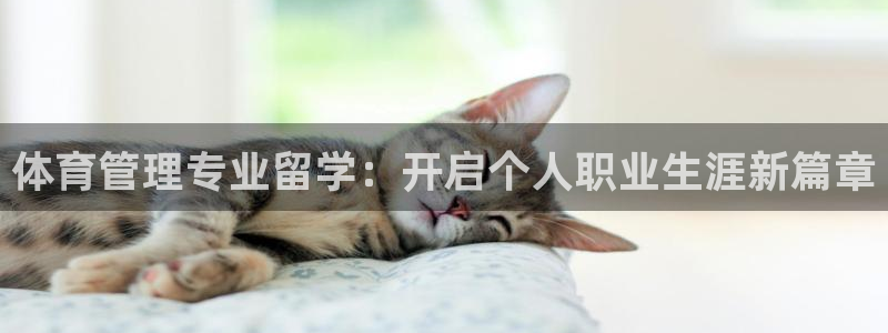 必一体育服下载最新版
