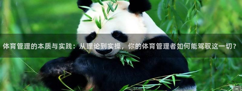 必一体育合法吗：体育管理的本质与实践：从理论到实操，你的体育