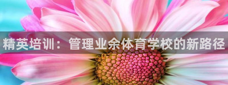 必一体育APP：精英