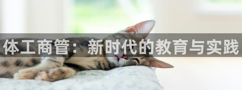 必一运动体育app：