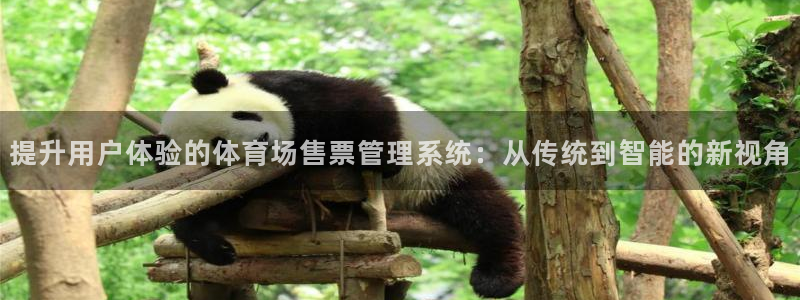 必一运动验证码：提升