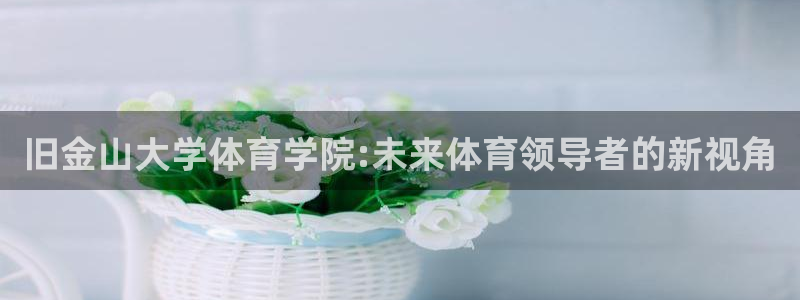 必一体育运动app：