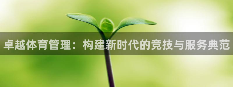 氵必一一厂一：卓越体