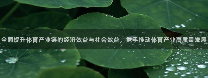 必一体育在线下载：全