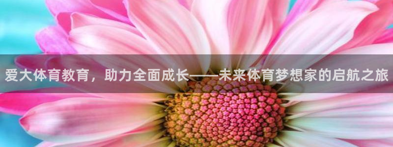 必一体育APP：爱大