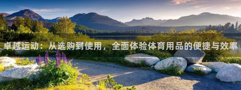 必一体育在线下载：卓