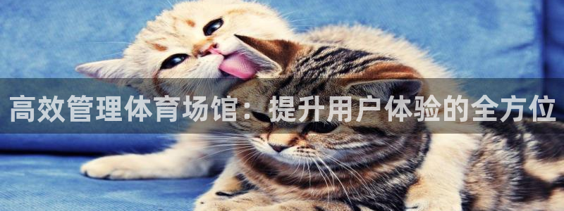 必一体育下载app：