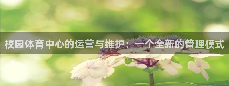 必一体育sport：