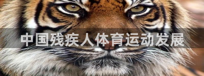 必一体育电子app：中国残疾人体育运动发展