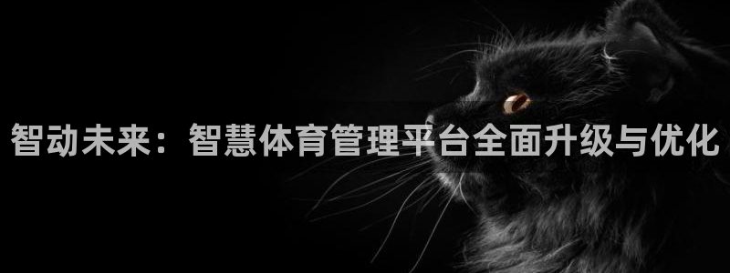 必一体育游戏玩法：智动未来：智慧体育管理平台全面升级与优化