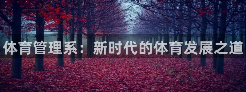 必一体育运动下载：体