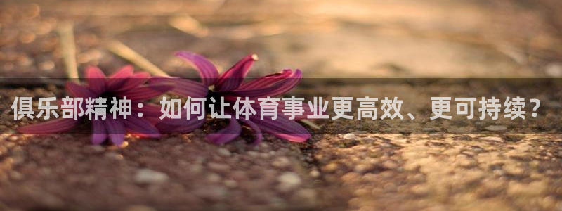 必一体育sport：