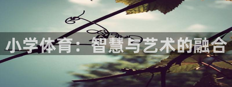 必一体育官网入口：小