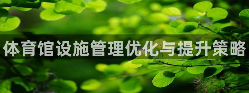 必一体育：体育馆设施