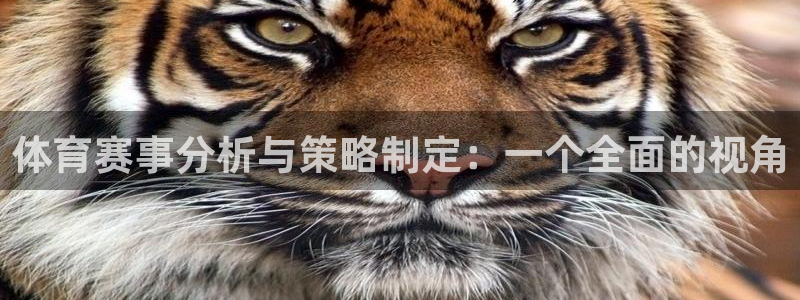 必一体育手机下载：体