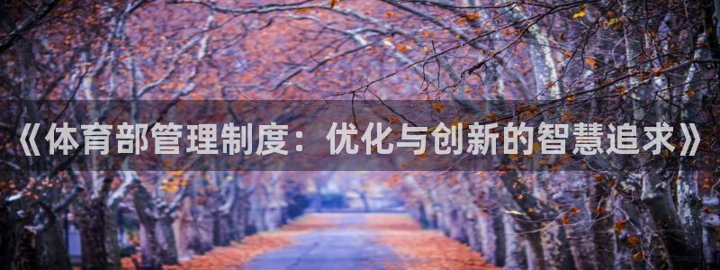 必一体育是啥：《体育