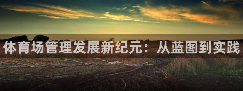 必一体育网页登陆：体